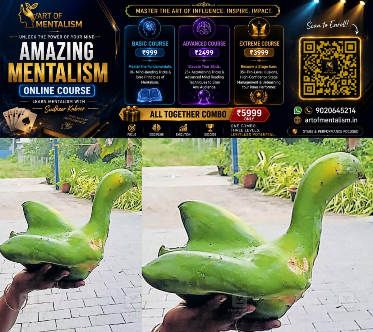 newskerala.net_1791710766_swan-papaya