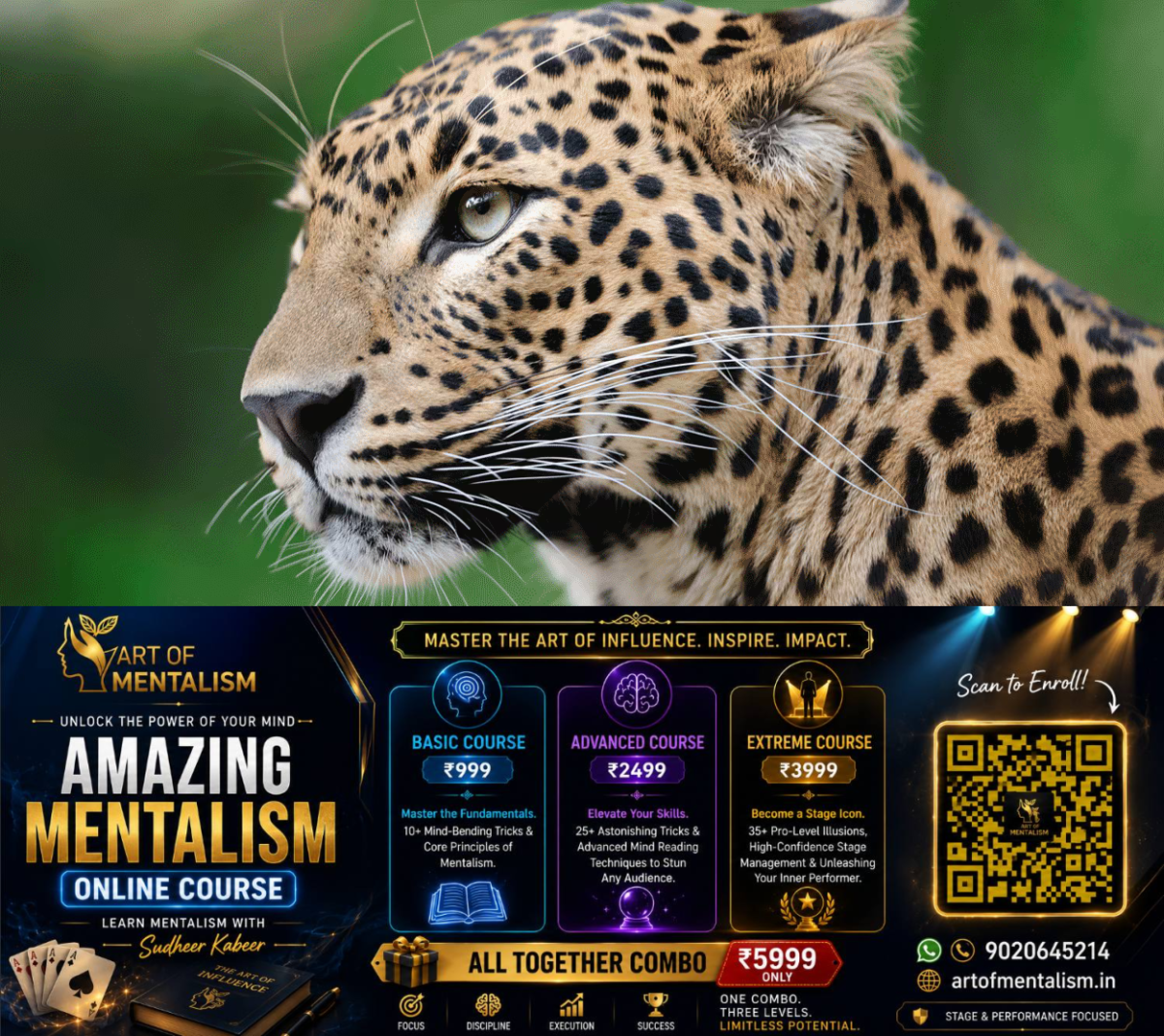 newskerala.net_1791965167_leopard-environment