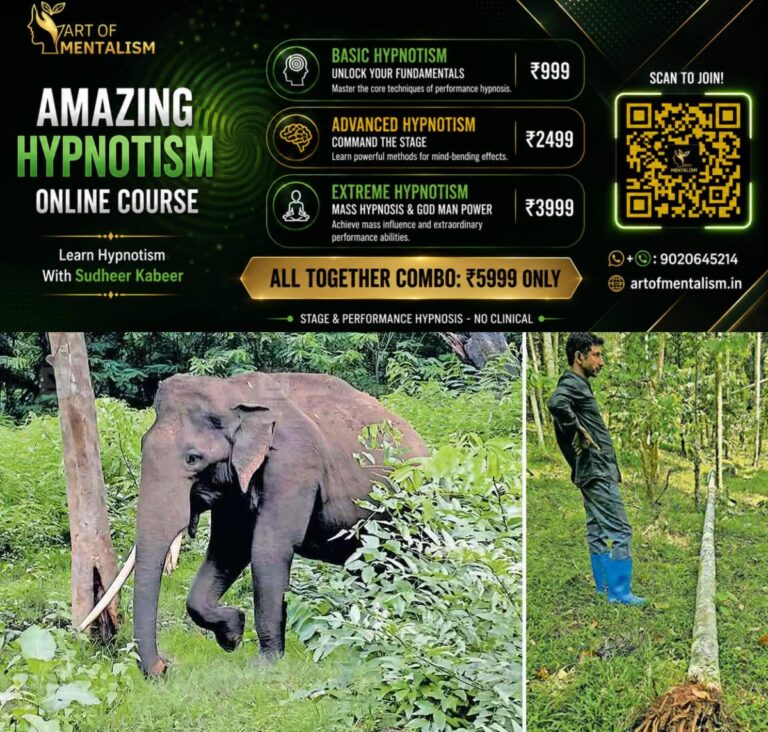 newskerala.net_1791968167_wild-elephant-attack