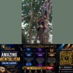 newskerala.net_1792094886_w-1280h-720format-jpgimgid-01m50j013cdw6rhc814b1f6gqsimgname-rubber-tree-rescue-1792093979756.jp
