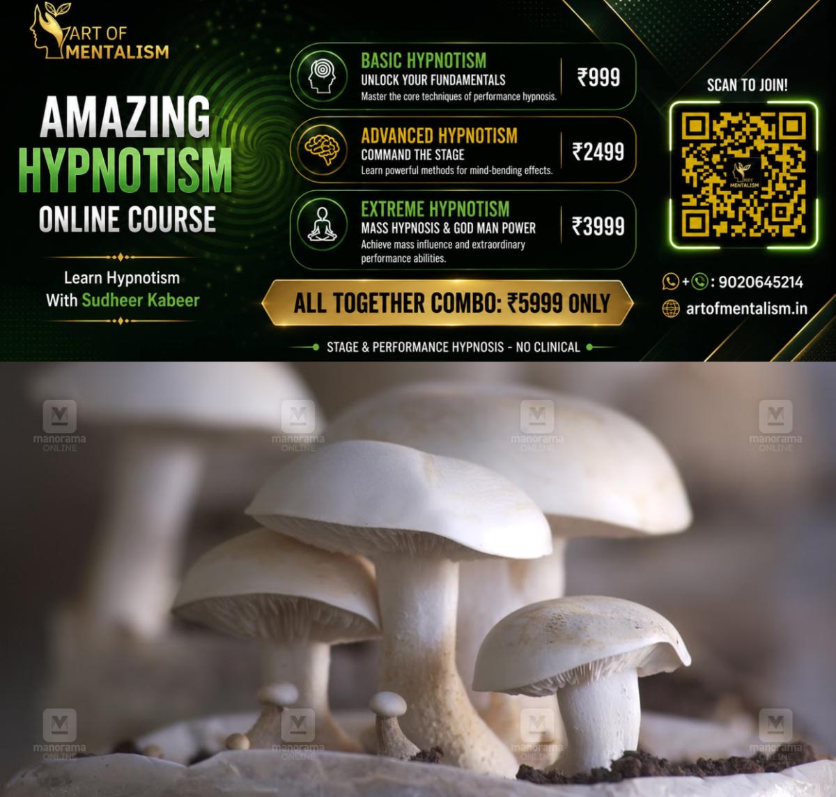 newskerala.net_1792122126_mushroom-1