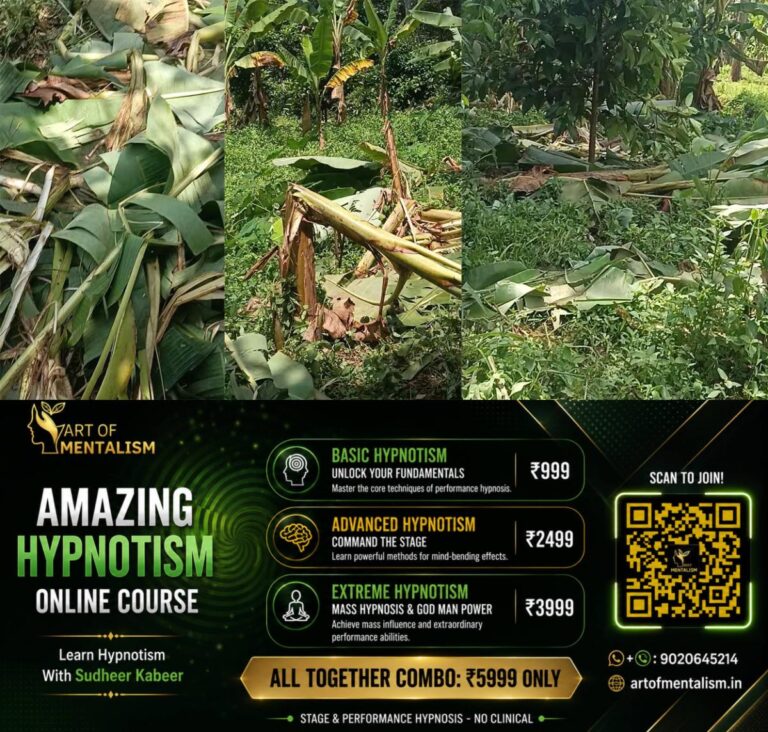 newskerala.net_1792574647_konni-wild-elephant-menace-crops-destroyed