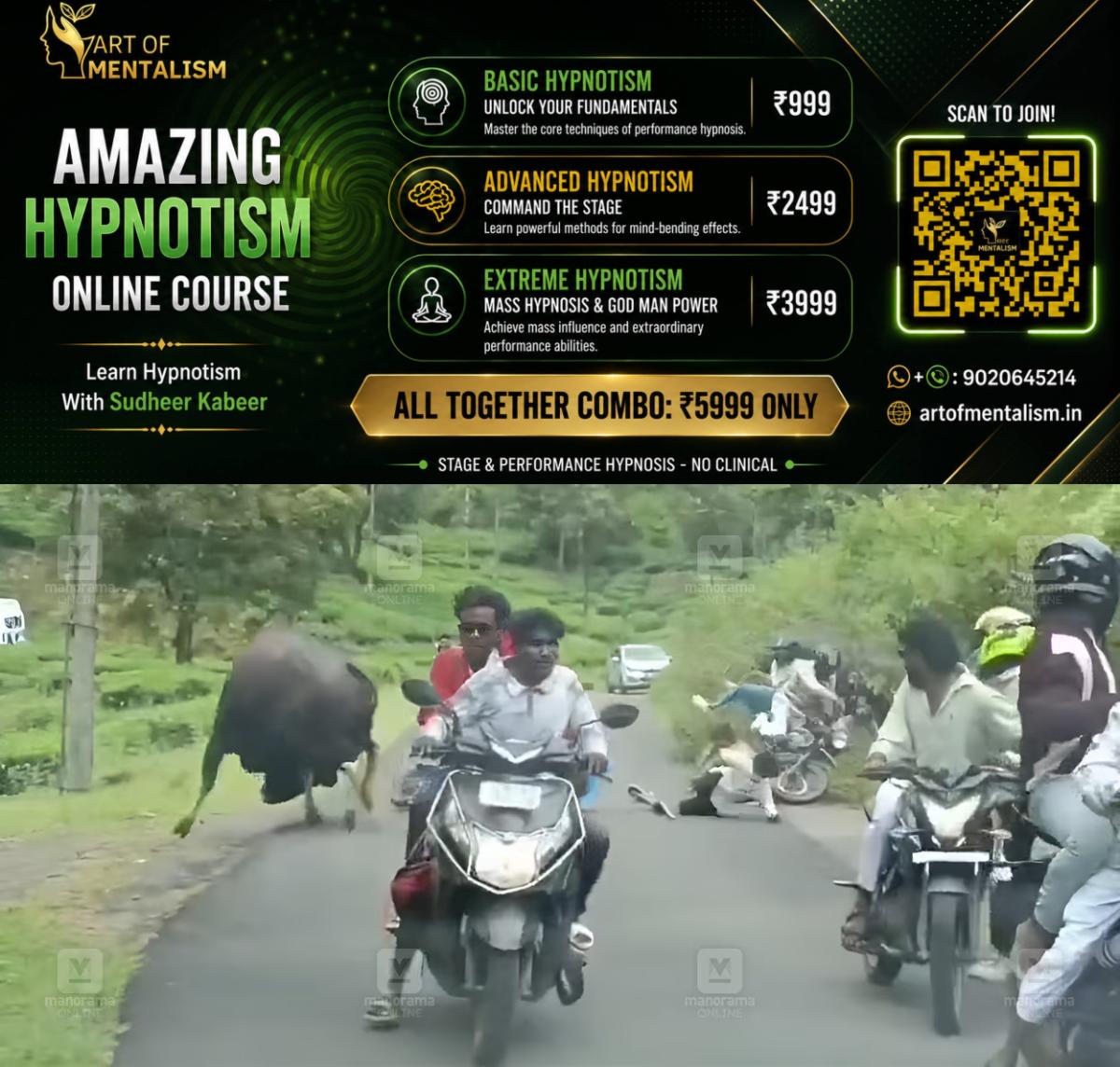 newskerala.net_1792646407_valparai-wild-gaur-attack-1
