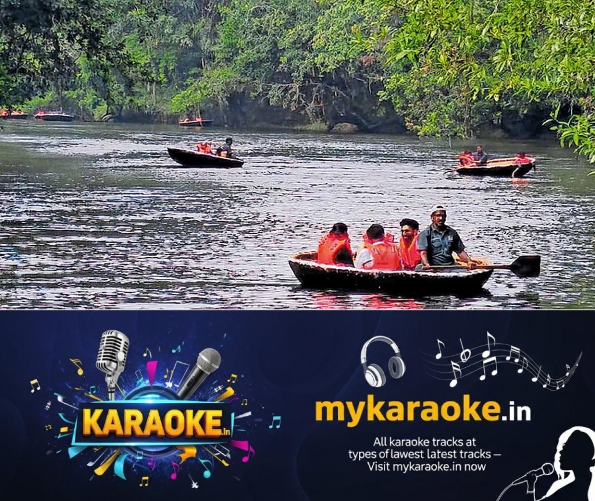 newskerala.net_1792653009_adavi-ecotourism-kuttavanchi-savari-revenue