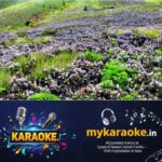 newskerala.net_1793078407_Neelakurinji-season-local-new