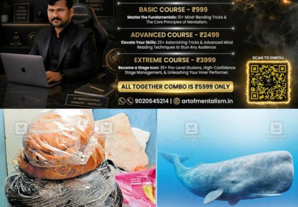 newskerala.net_1793086086_Whale-story-local-news
