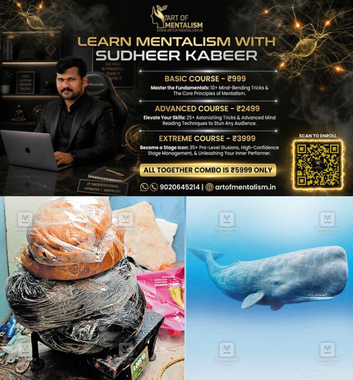 newskerala.net_1793086086_Whale-story-local-news