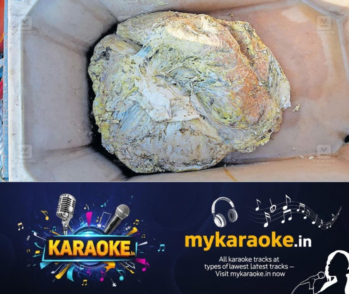 newskerala.net_1793245686_ambergris-found-kollam-1