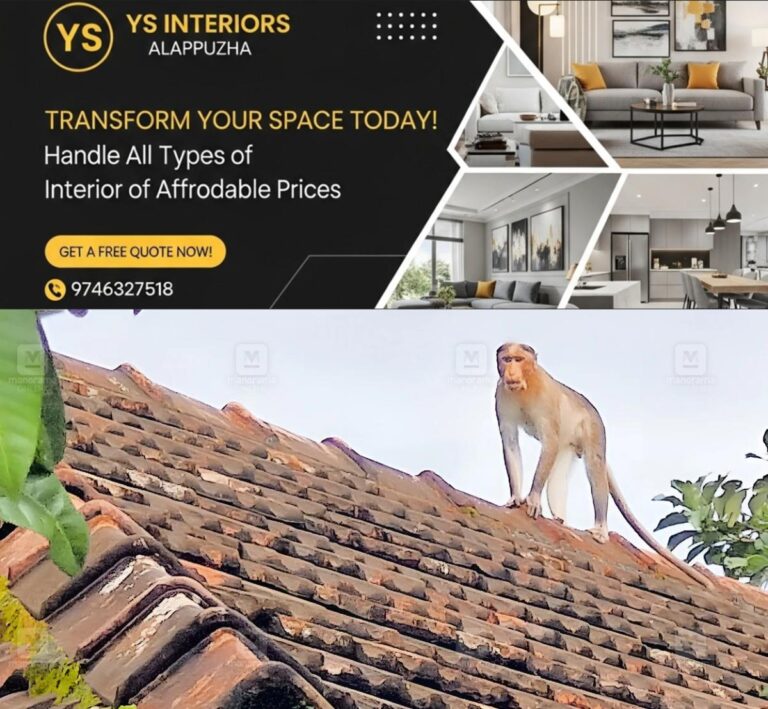 newskerala.net_1793250127_mannarathara-monkey-1