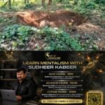 newskerala.net_1793264164_wild-elephant-kodakara