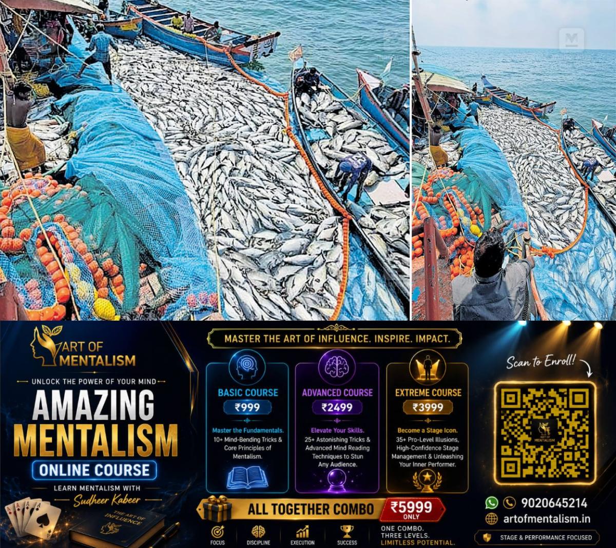 newskerala.net_1793327045_anjuthengu-perumathura-vatta-fish-1