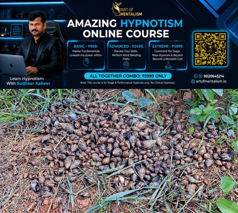 newskerala.net_1793451427_african-snail-menace-in-panoor
