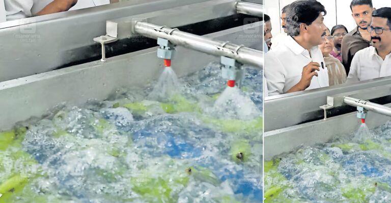 ozone-wash-vegetables-1.jpg