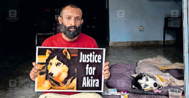 paravoor-veterinary-hospital-protest-dog-paralysis.jpg