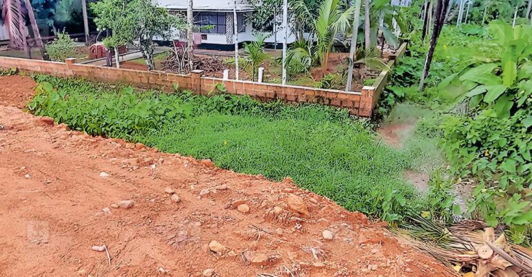 perambra-bypass-wetland-filling-1.jpg