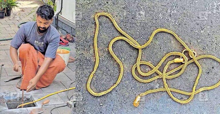 perambra-gold.jpg