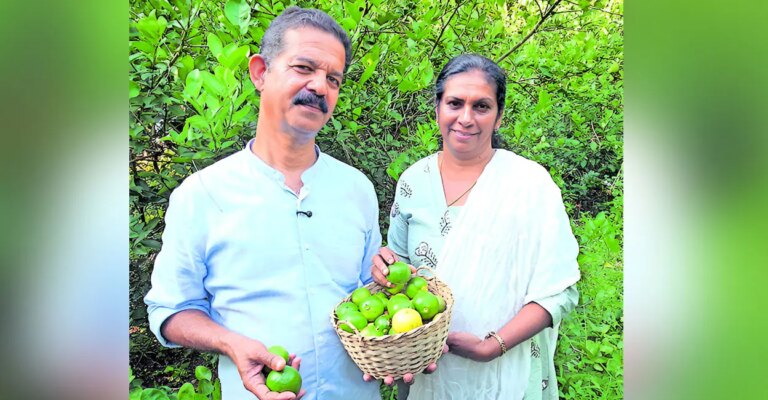 profitable-lemon-farming-kerala.jpg
