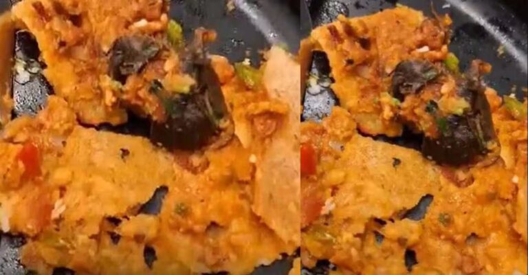 rat-in-dosa.jpg