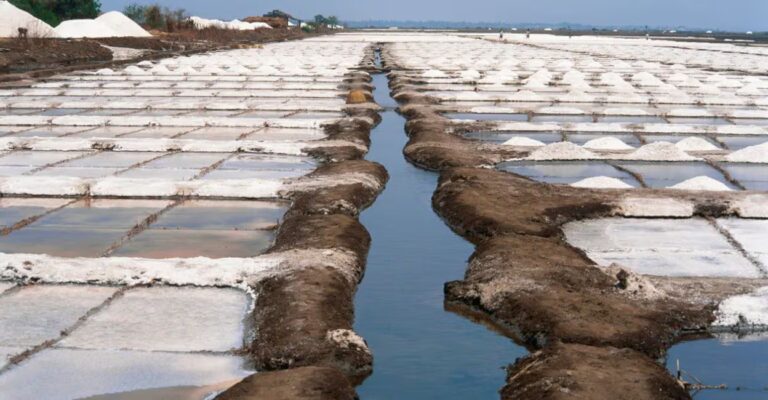 salt-field-main.jpg