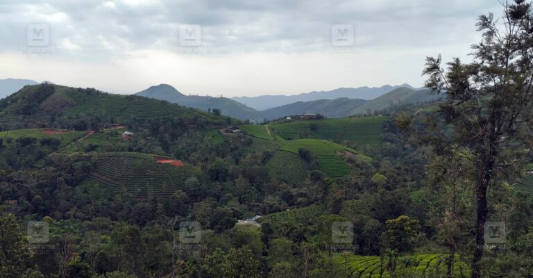 vagamon-1.jpg