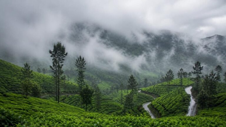 w-1280h-720format-jpgimgid-01m0a10b1j8h3we1c1rmac8xjrimgname-munnar-1787042999346.jpg