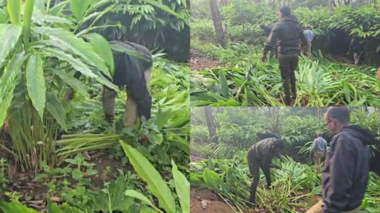 w-1280h-720format-jpgimgid-01m47tjmpnvfdjwtcfp19dxnnwimgname-idukki-chinnakanal-encroachment-179.jpeg