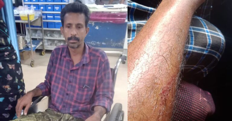 wild-elephant-attack-seethathodu.jpg