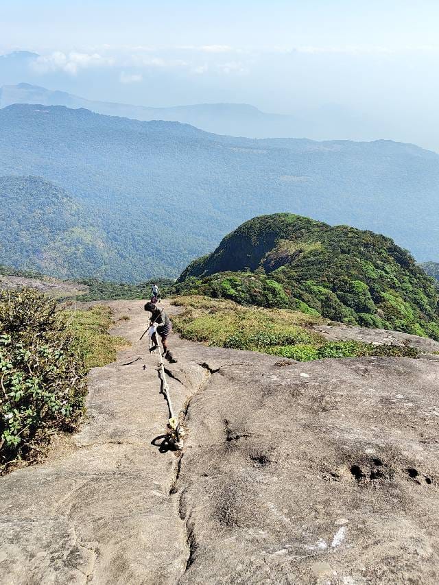 ഇവയെല്ലാം വേണം