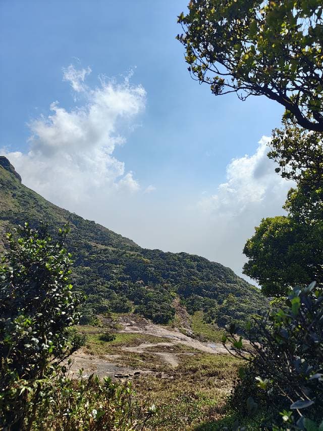 കരുതൽ വേണം