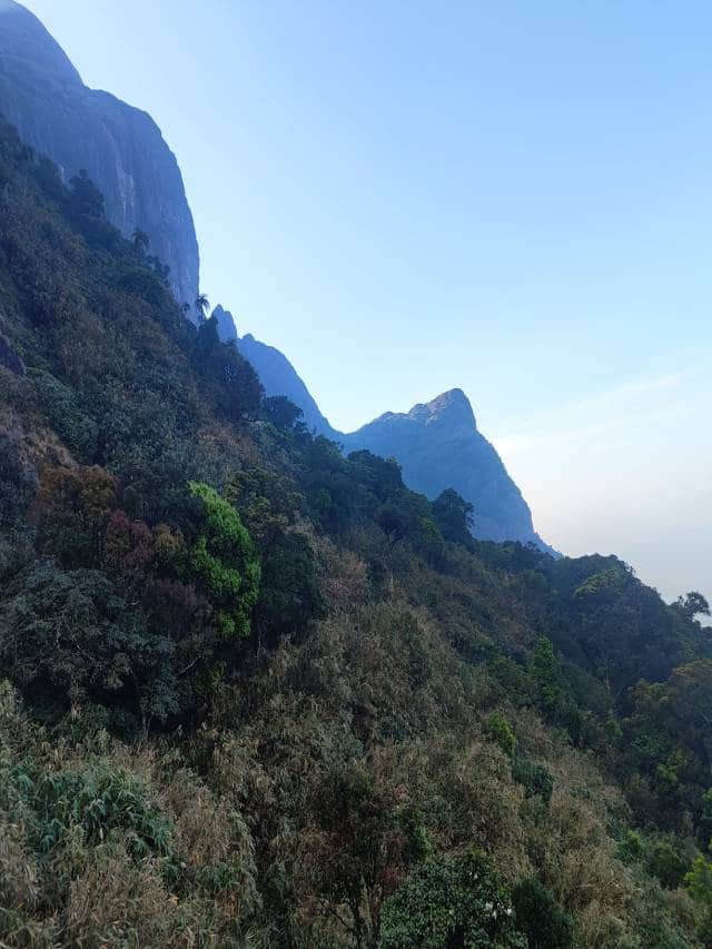 മായാത്ത ഓർമ്മകളാവും