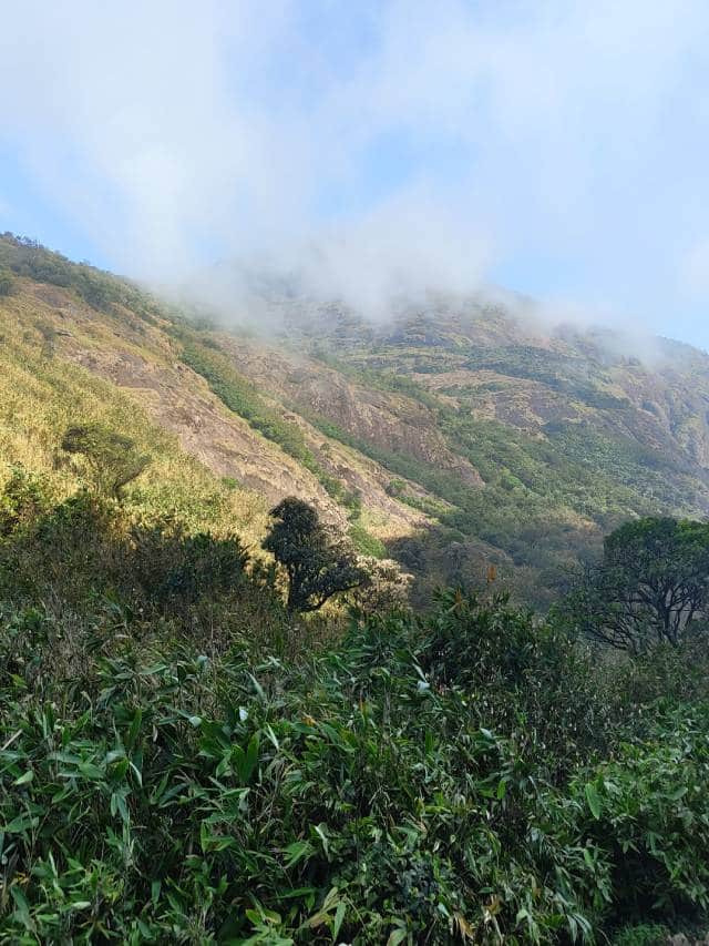 വന്യമൃ​ഗങ്ങള്‍
