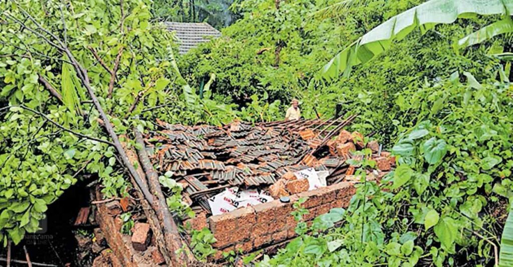 cowshed-destroyed-.jpg
