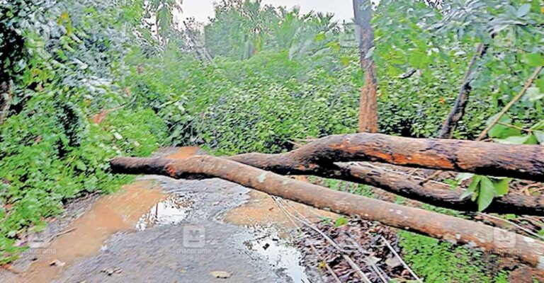 melur-road-block.jpg