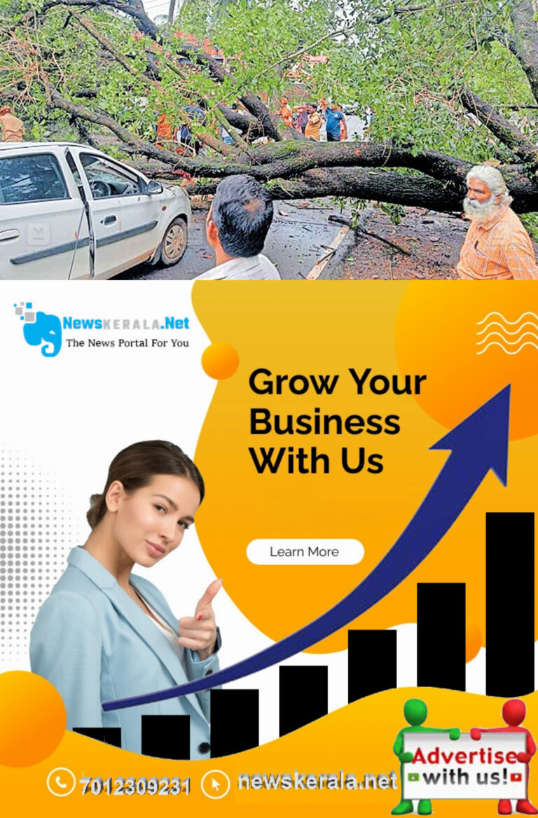 newskerala.net_tree-fall-accident.jpg