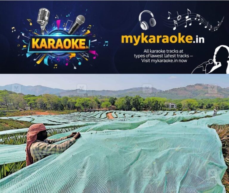 newskerala.net_1771564452_idukki-faces-significant-rainfall-deficit-and-water-scarcity