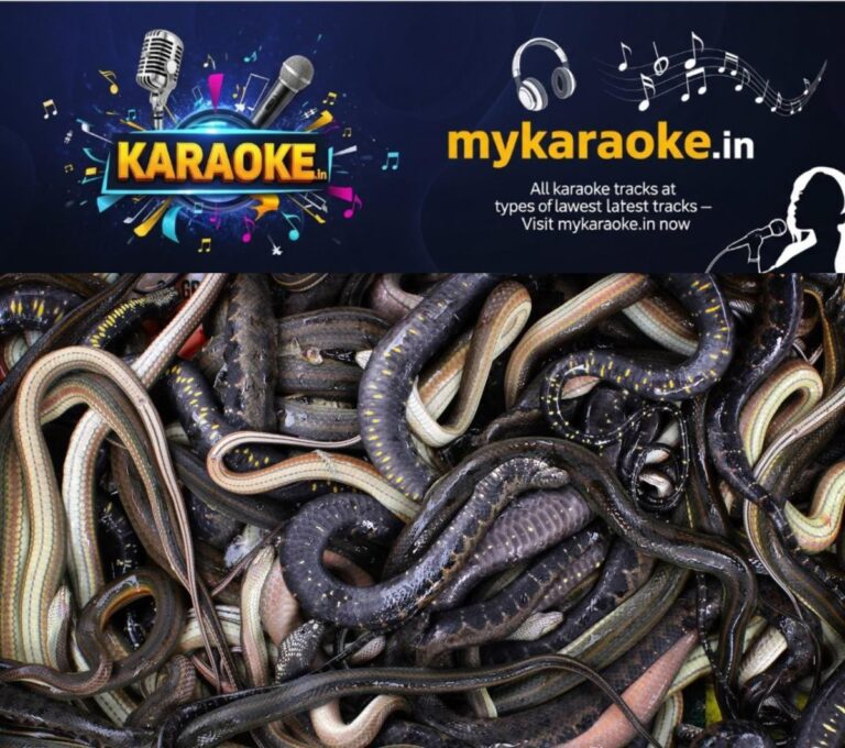 newskerala.net_1776745926_w-1280h-720format-jpgimgid-01kpq4p75y4g6pk5xdg4jek2ejimgname-new-project-2026-04-21t095435.437