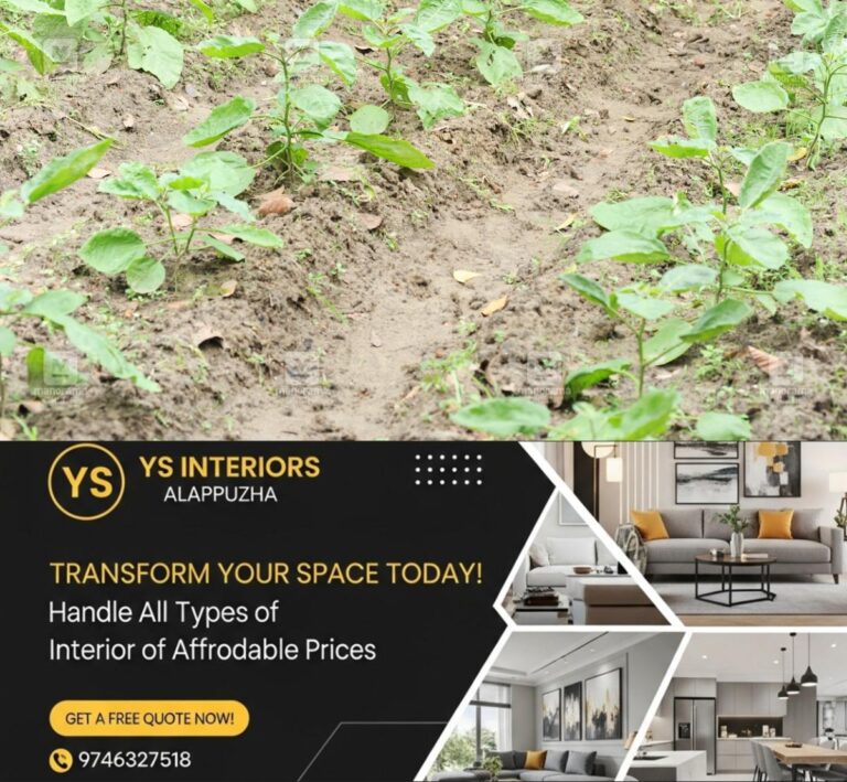 newskerala.net_1776750611_vegetable-farming-1